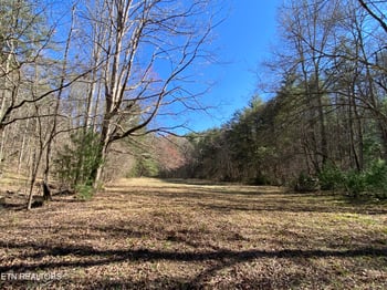 188 Dalton Branch Rd, Tellico Plains, TN 37385