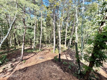 188 Marie Ln, Crossville, TN 38555
