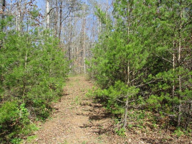 189 County Road 103, Athens, TN 37303