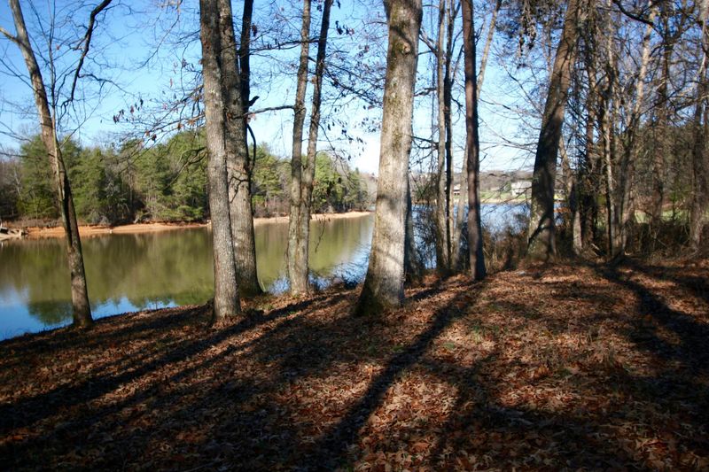 189 White Ln, Vonore, TN 37885