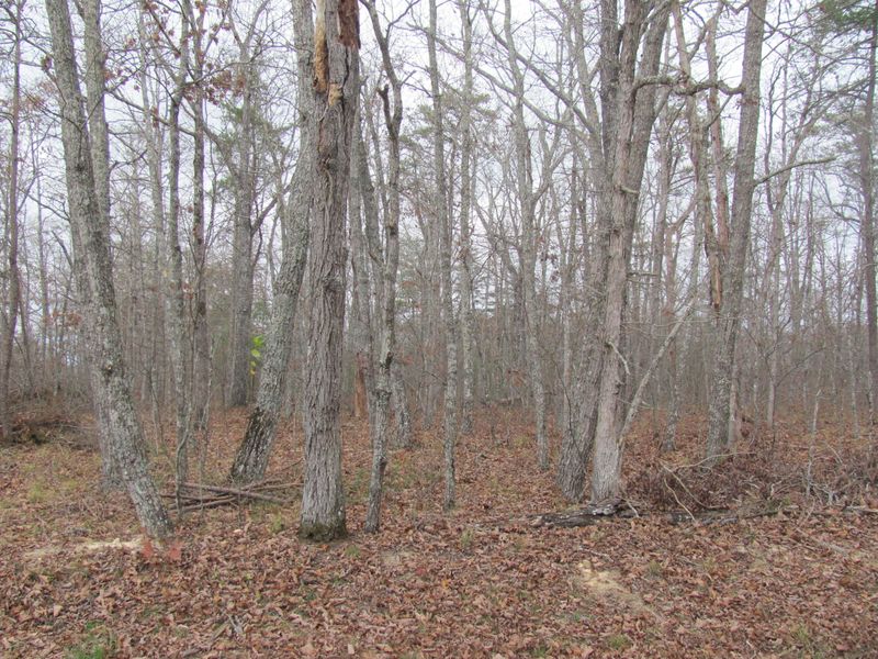 19 Arden Pl, Fairfield Glade, TN 38558