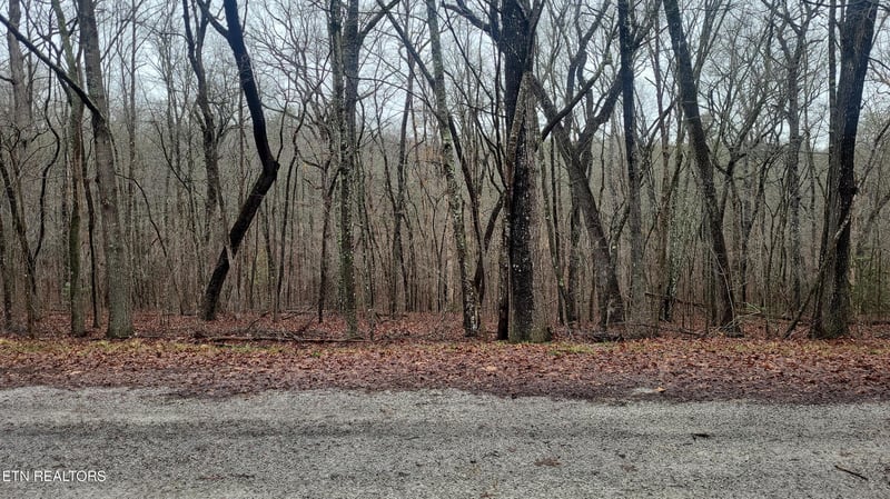 19 Ashford Pl, Crossville, TN 38558