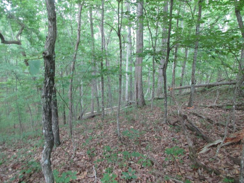 19 Forman Ct, Fairfield Glade, TN 38558