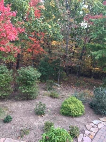 19 Maplewood Ct, Fairfield Glade, TN 38558