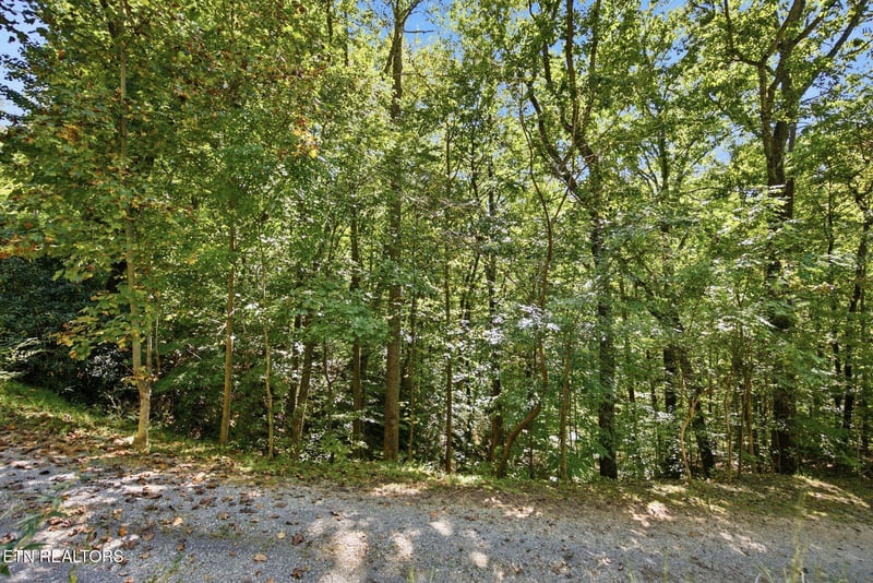 19 Roy Lee Way, Seymour, TN 37865
