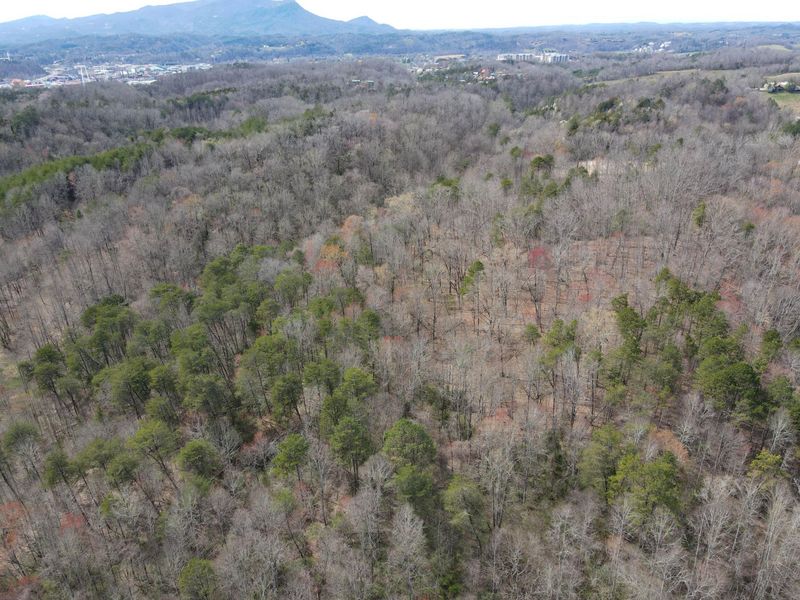 19.76 Ac Ridge Rd, Pigeon Forge, TN 37863
