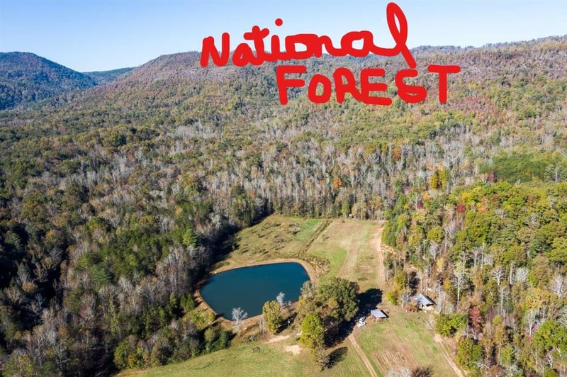 190 Basin Creek Rd, Reliance, TN 37369