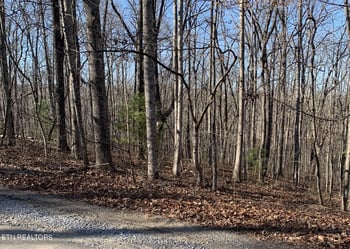 190 Beachwood Dr, Fairfield Glade, TN 38558