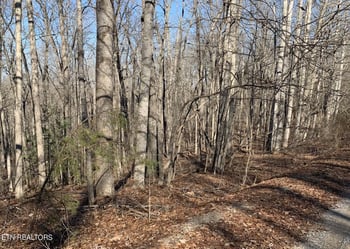 190 Beachwood Dr, Fairfield Glade, TN 38558