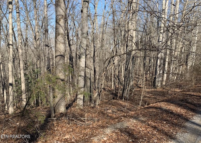 190 Beachwood Dr, Fairfield Glade, TN 38558