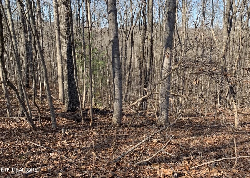 190 Beachwood Dr, Fairfield Glade, TN 38558