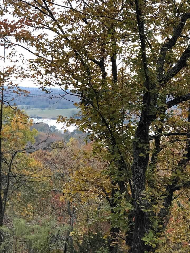 190 Old Ridge Rd, Kingston, TN 37763