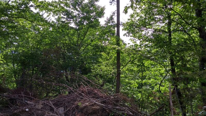 190 Vowell Mountain Rd, Rocky Top, TN 37769
