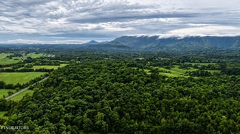 1903 Tree Tops Ln, Seymour, TN 37865