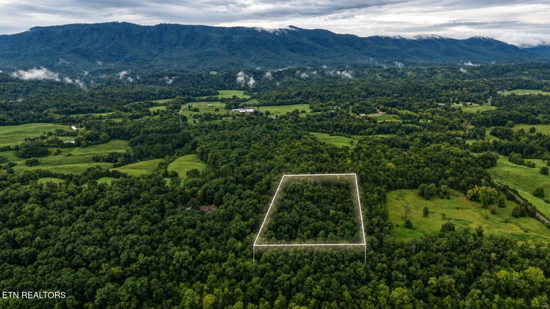 1903 Tree Tops Ln, Seymour, TN 37865