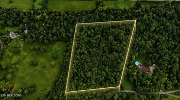 1903 Tree Tops Ln, Seymour, TN 37865