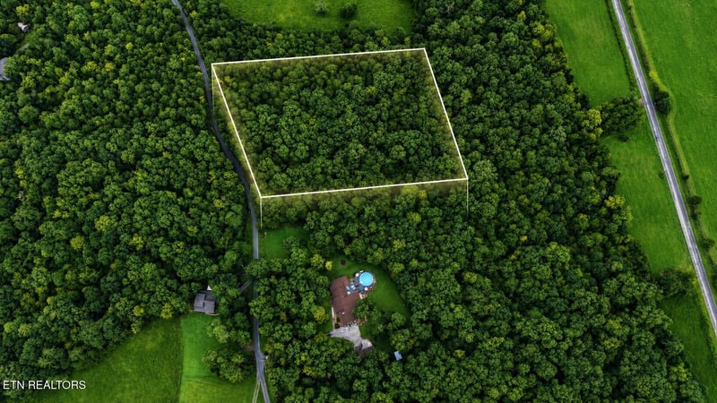 1903 Tree Tops Ln, Seymour, TN 37865