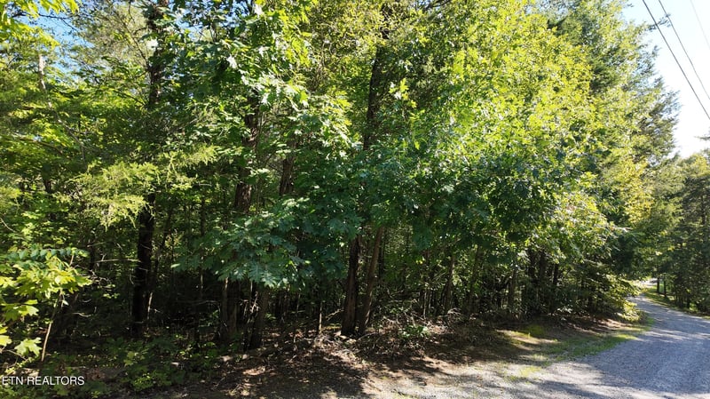 1903 Tree Tops Ln, Seymour, TN 37865