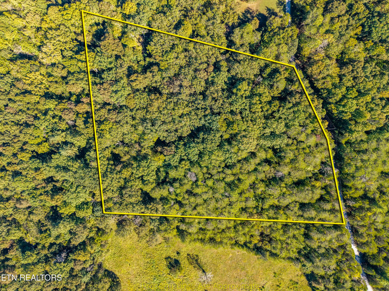 1903 Tree Tops Ln, Seymour, TN 37865