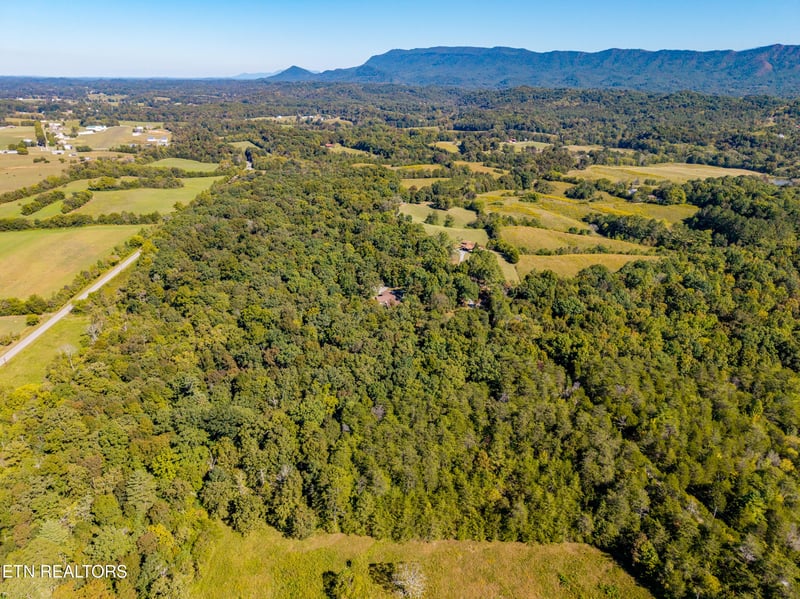 1903 Tree Tops Ln, Seymour, TN 37865
