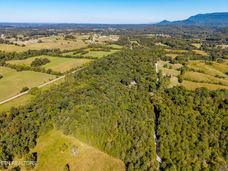 1903 Tree Tops Ln, Seymour, TN 37865