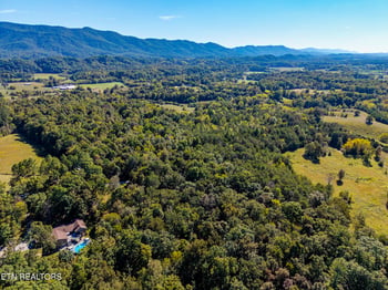 1903 Tree Tops Ln, Seymour, TN 37865