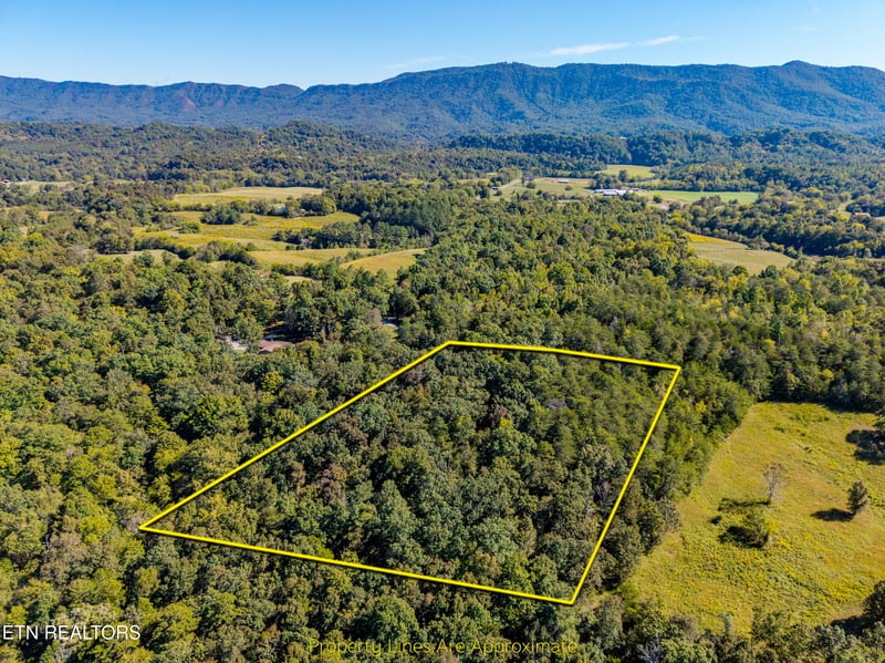 1903 Tree Tops Ln, Seymour, TN 37865