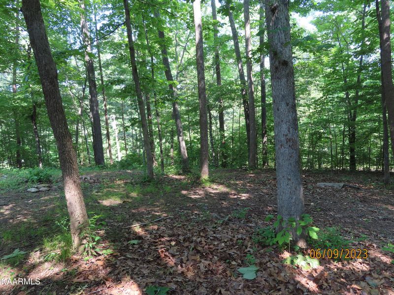 1908 Cove Pointe Rd, Lafollette, TN 37766