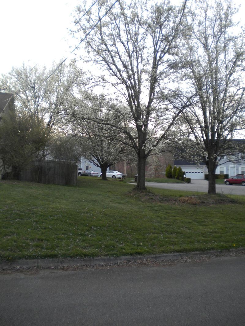1909 Marty Cir, Knoxville, TN 37932