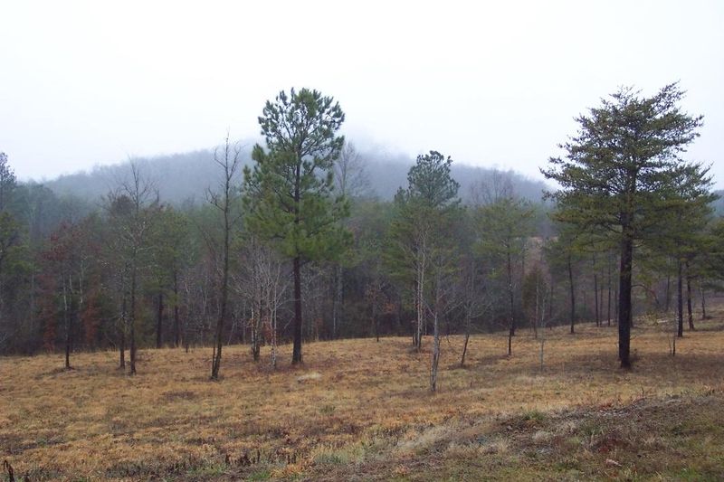 191 Co Rd 490, Etowah, TN 37331