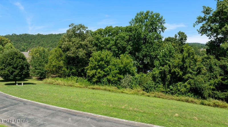 191 White Swan Dr, Vonore, TN 37885