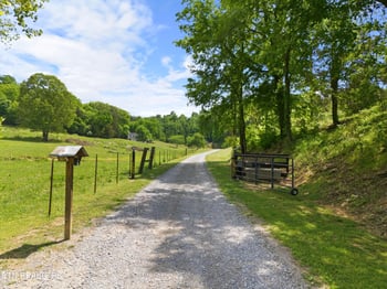 1913 E Union Valley Rd, Seymour, TN 37865