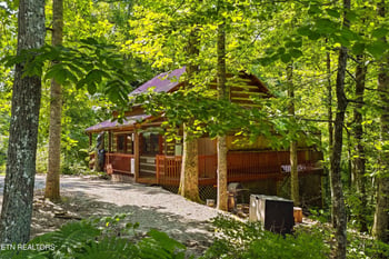 1918 Charles Lewis Way #U3, Sevierville, TN 37876