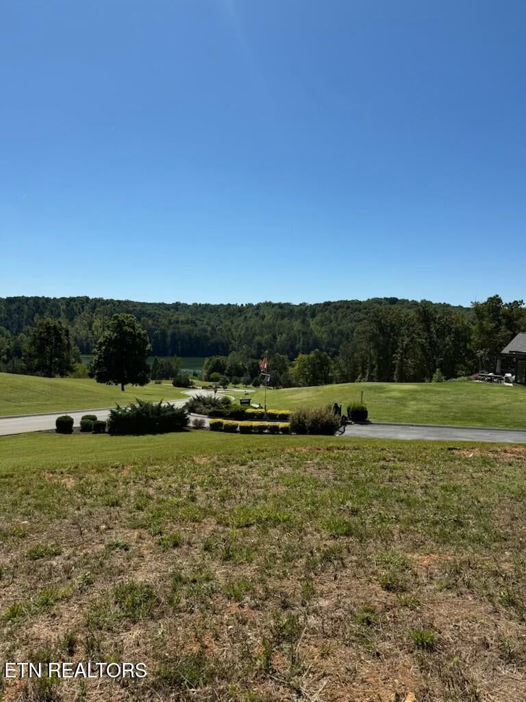 192 Bingham Hill Ln, Greenback, TN 37742