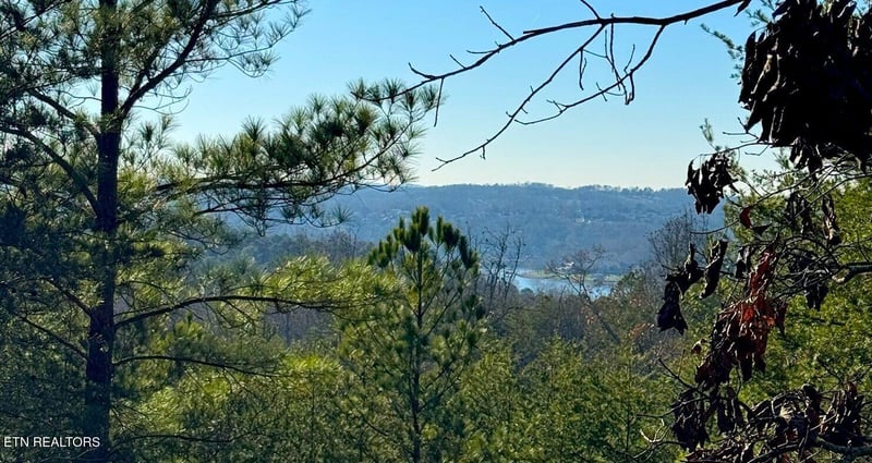 192 Bingham Hill Ln, Greenback, TN 37742