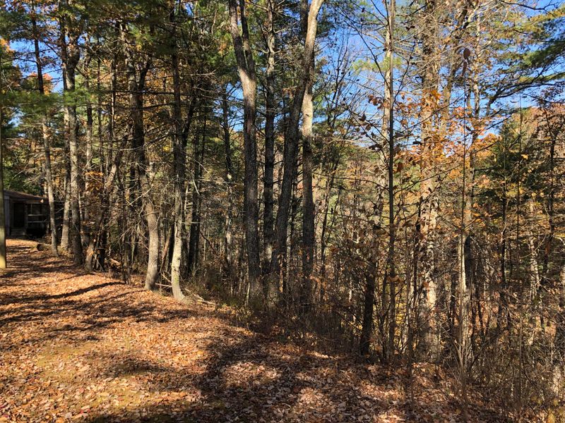192 Mountain Rd, Tellico Plains, TN 37385