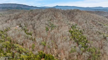 1924 Big Gully Rd, Maryville, TN 37801