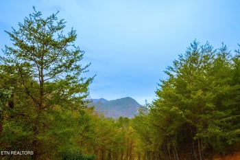 1928 Bear Creek Falls Way, Sevierville, TN 37862