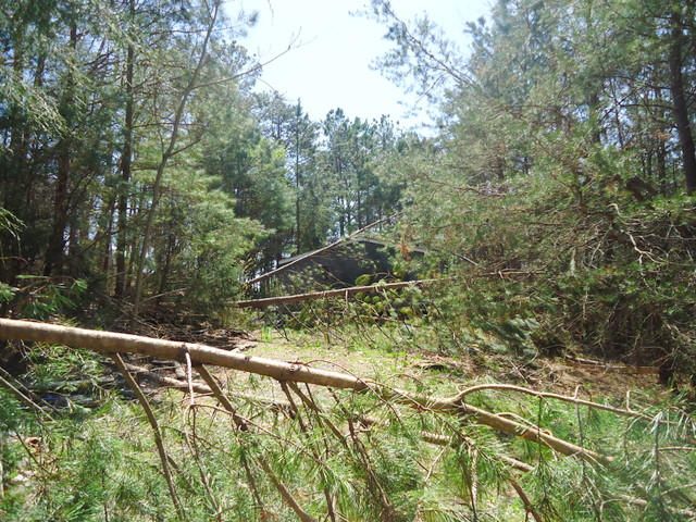 193 County Road 295, Niota, TN 37826
