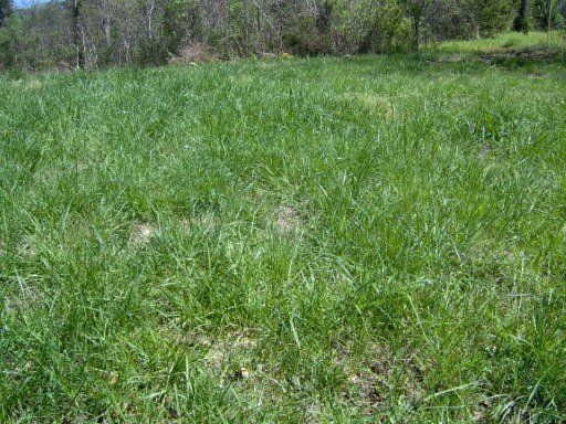 193 Dunville Gap Rd, Rutledge, TN 37861