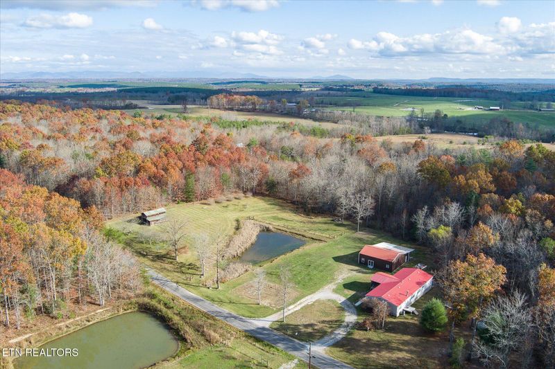 193 Renee Dr, Deer Lodge, TN 37726