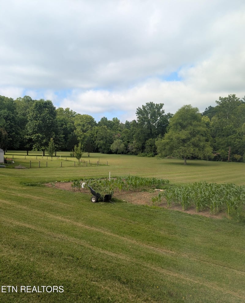 1931 Hidden Springs Rd, Knoxville, TN 37914