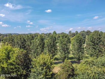 194 Doc Miller Rd, Madisonville, TN 37354