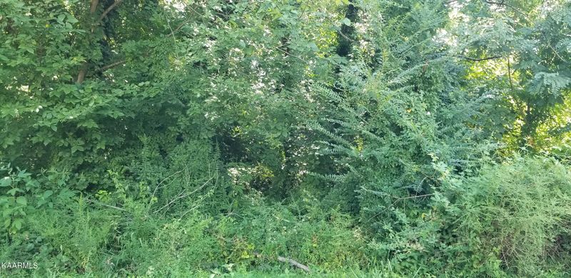 194 E Elm St, Lafollette, TN 37766