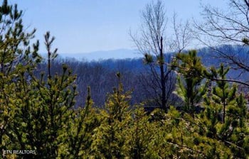 194 Forest Ridge Ln, Greenback, TN 37742