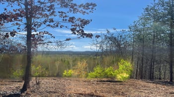 194 Forest Ridge Ln, Greenback, TN 37742
