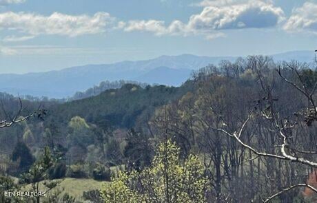 194 Forest Ridge Ln, Greenback, TN 37742