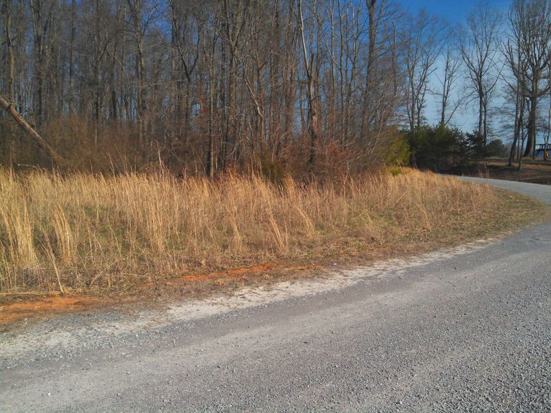 1940 Star Dust Way, Walland, TN 37886
