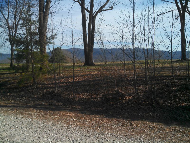 1940 Star Dust Way, Walland, TN 37886