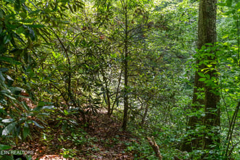 1941 Anderson Way, Sevierville, TN 37876